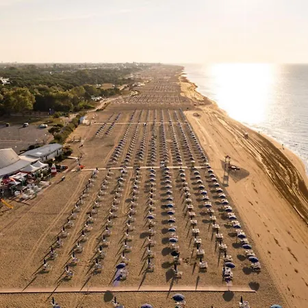 Apartament Comfy And Sunny