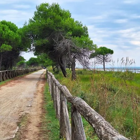 Comfy And Sunny Daire Bibione