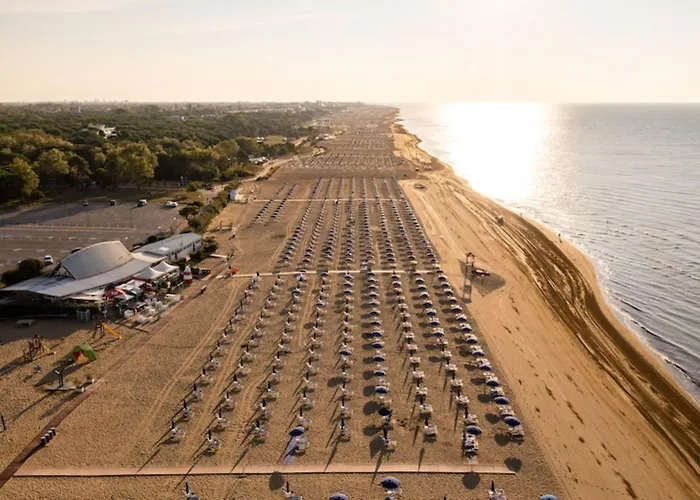 Apartment Comfy And Sunny